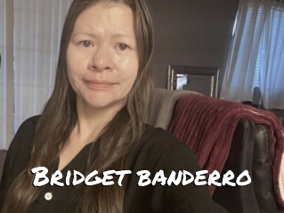 Bridget_banderro
