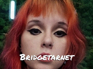 Bridgetarnet