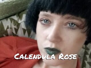 Calendula_Rose
