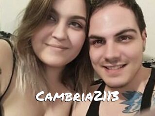 Cambria2113