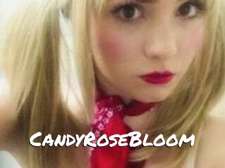 CandyRoseBloom