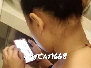 CatCat1668
