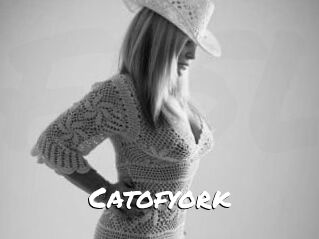 Catofyork