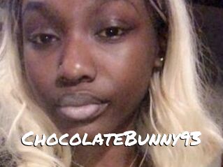 ChocolateBunny93