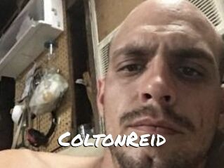 Colton_Reid