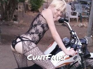 CuntFairy