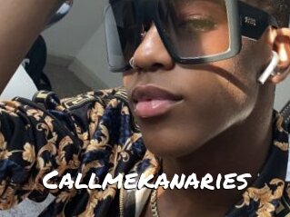 Callmekanaries
