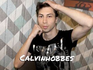 Calvinhobbes
