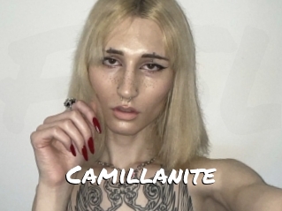Camillanite