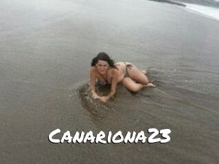 Canariona23