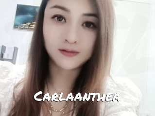 Carlaanthea