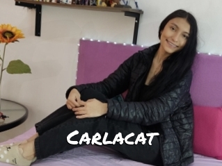 Carlacat