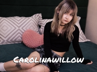 Carolinawillow