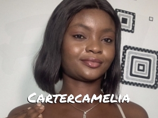 Cartercamelia