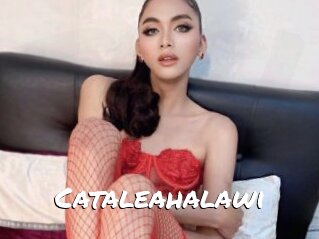 Cataleahalawi
