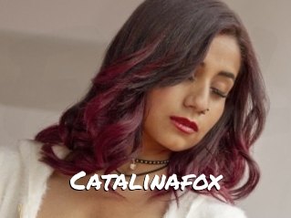 Catalinafox