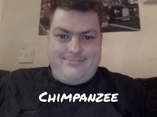 Chimpanzee