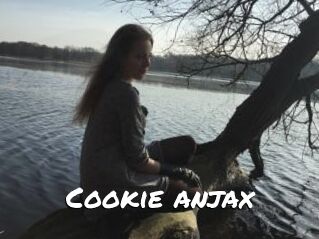 Cookie_anjax