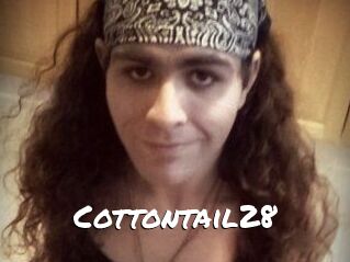Cottontail28