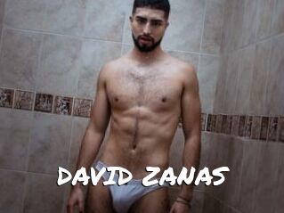DAVID_ZANAS