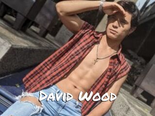 David_Wood