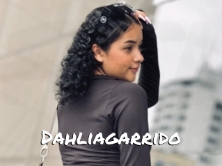 Dahliagarrido