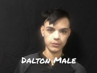 Dalton_Male