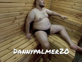 Dannypalmer20