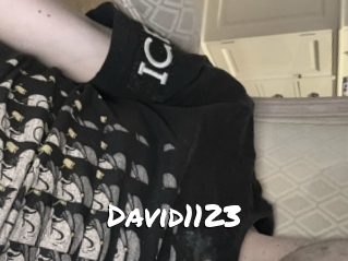 David1123