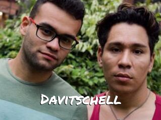 Davitschell
