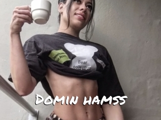 Domin_hamss