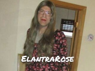 Elantra_Rose