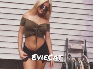 EvieCat