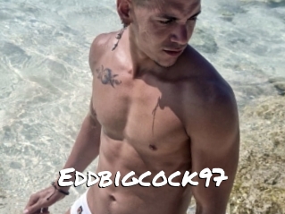 Eddbigcock97