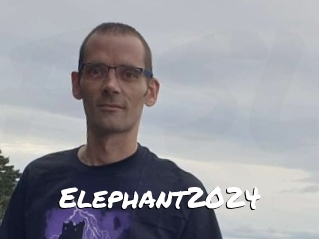 Elephant2024