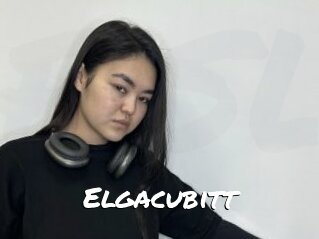 Elgacubitt