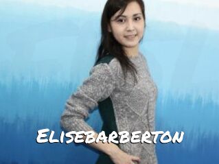 Elisebarberton