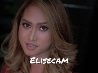 Elisecam