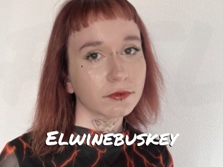 Elwinebuskey