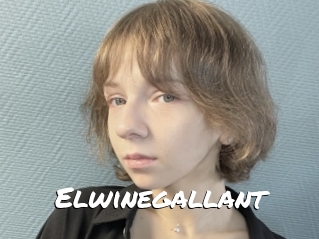 Elwinegallant