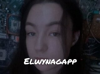 Elwynagapp
