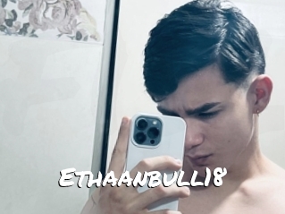 Ethaanbull18