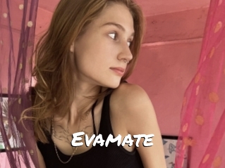 Evamate