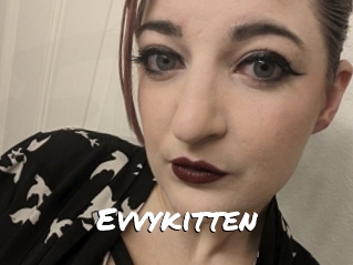 Evvykitten
