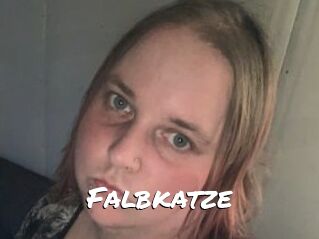 Falbkatze