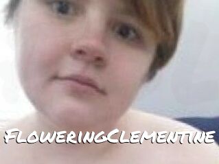 FloweringClementine