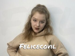 Felicecovil