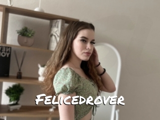 Felicedrover