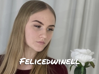 Felicedwinell