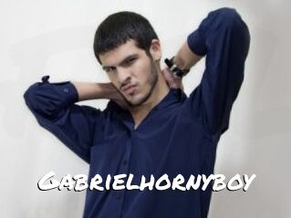 Gabrielhornyboy